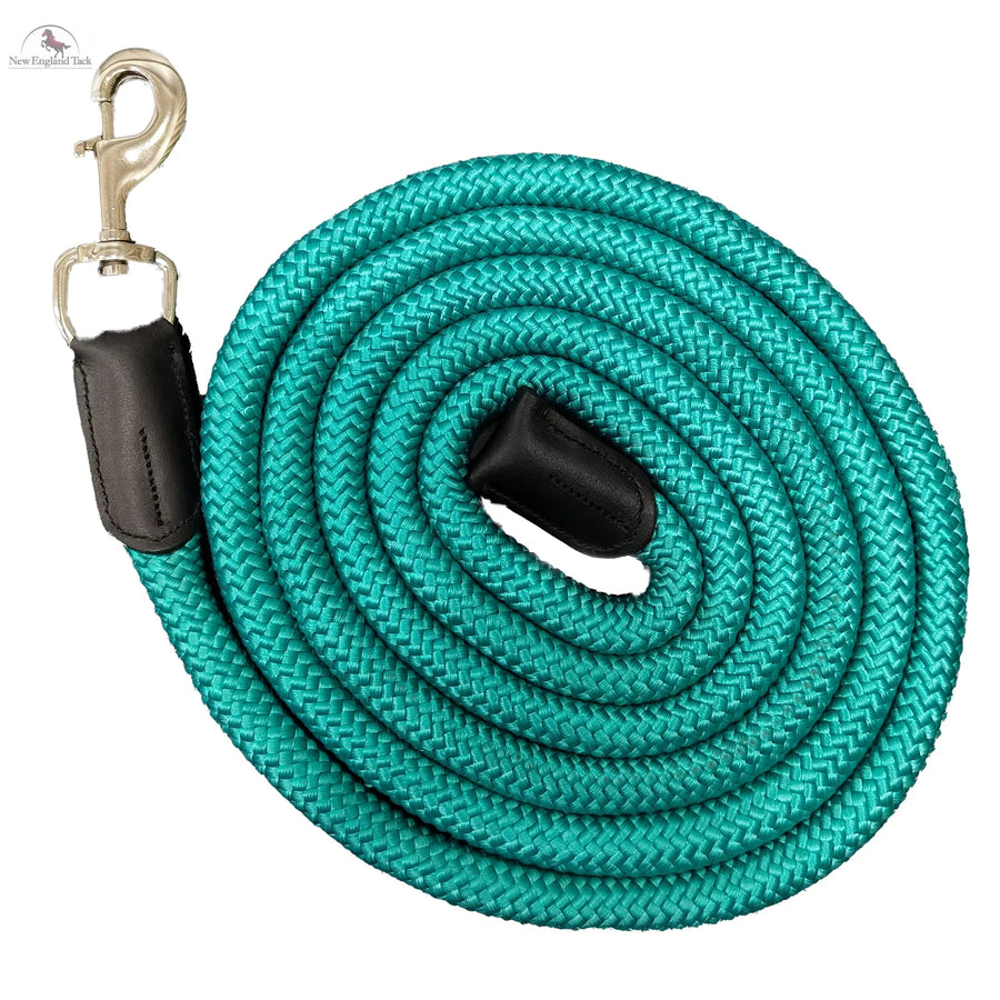 9FT Nylon Horse Halter Lead Rope with Bull Nose Snap – 3/4 Inch Thick, Strong & Comfortable for Training NewEngland Tack