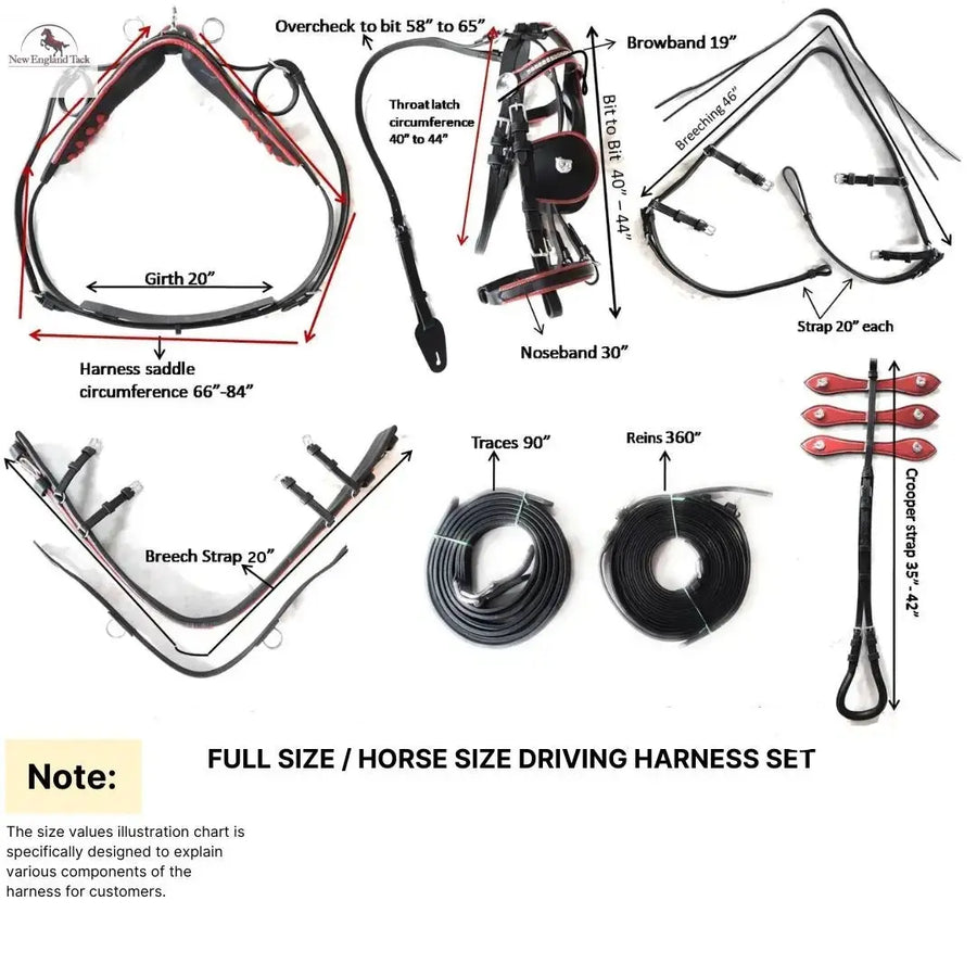 Black Horse Patent Leather Driving Harness Blue Trim Set Available In Miniature Small Pony Cob and Full Horse