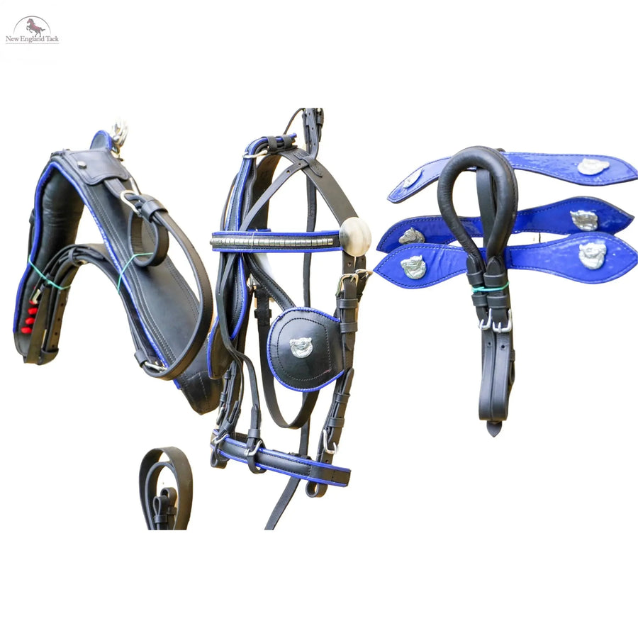 Black Horse Patent Leather Driving Harness Blue Trim Set Available In Miniature Small Pony Cob and Full Horse NewEnglandTack