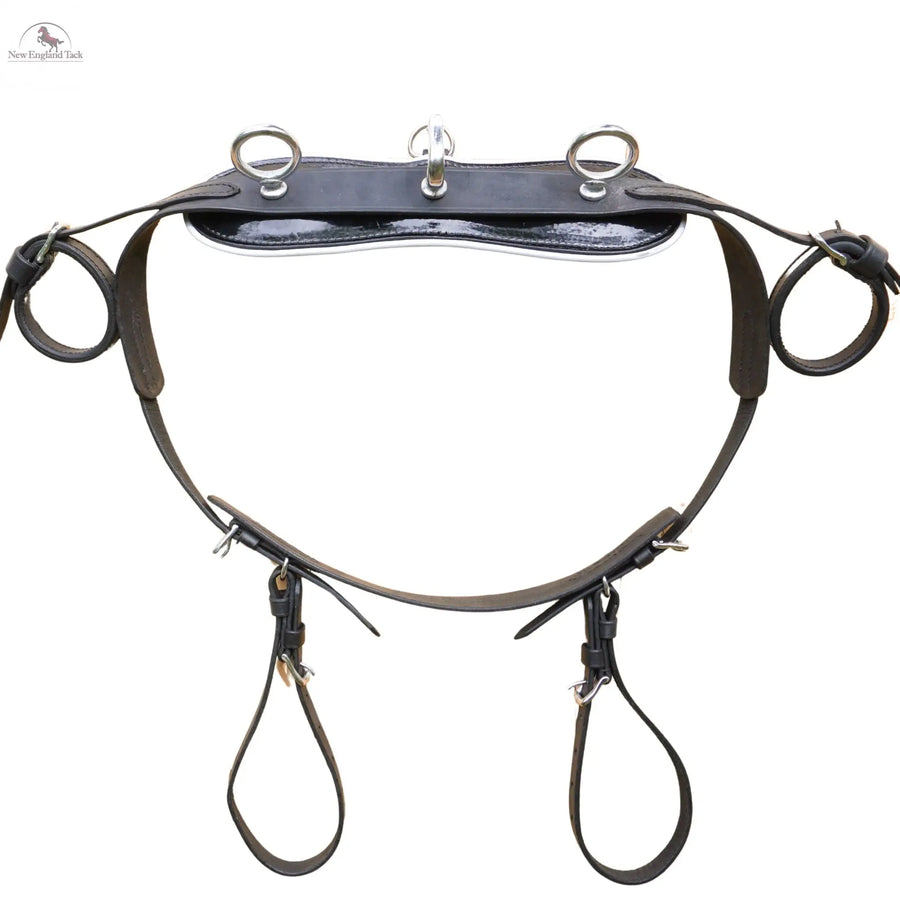 Miniature Horse Black Patent Leather Driving Harness with Red and White Trim NewEngland Tack