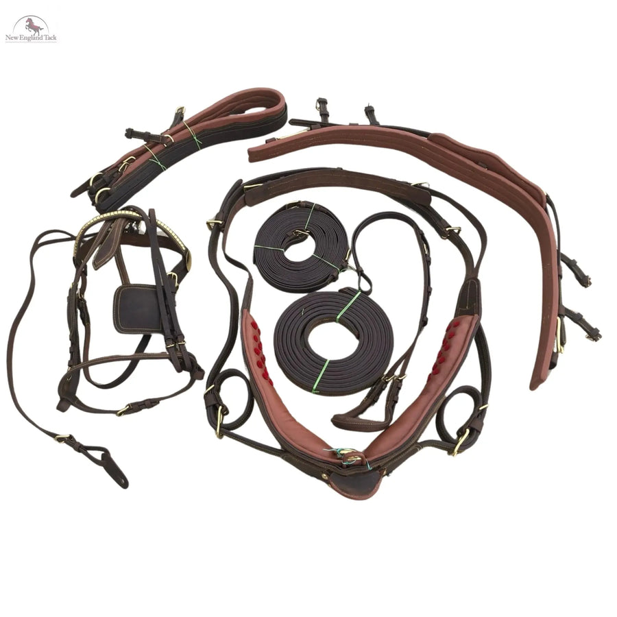 Premium Horse Gig Harness Full Size St Oily Cow Softy Leather with Brass Lacquer NewEnglandTack