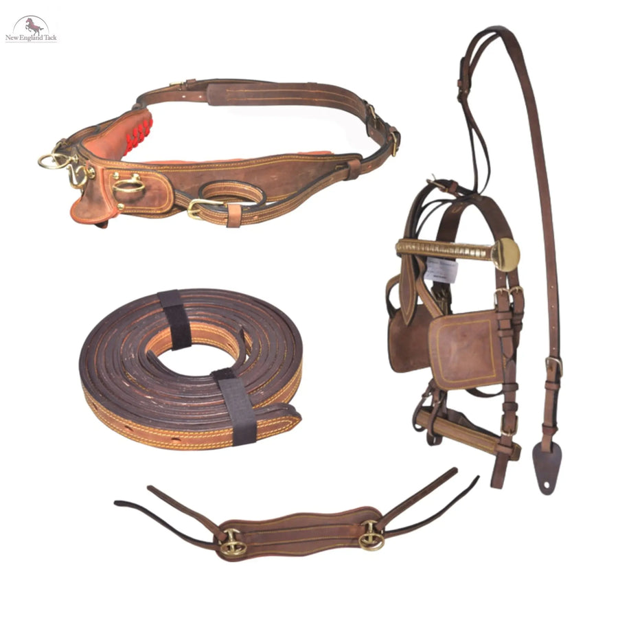 Premium Horse Gig Harness Full Size St Oily Cow Softy Leather with Brass Lacquer NewEnglandTack