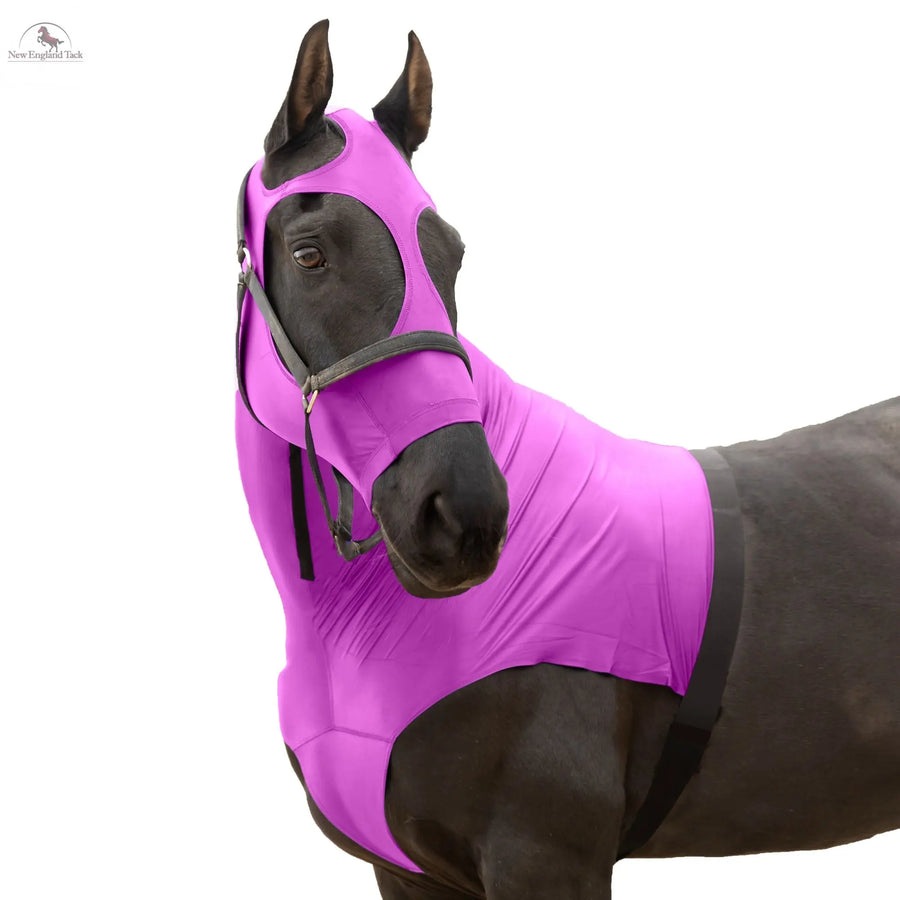 RESISTANCE Premium Horse Hood Pullon with Face - Lycra Material - NewEngland Tack