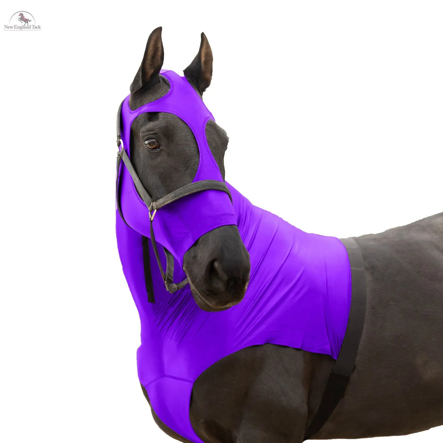 RESISTANCE Premium Horse Hood Pullon with Face - Lycra Material - NewEngland Tack