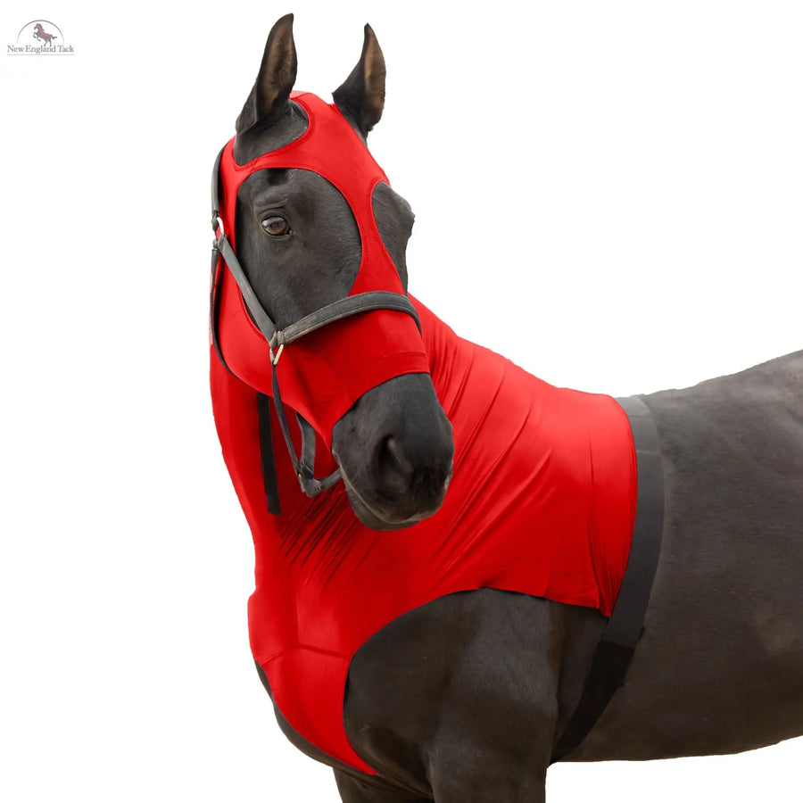 RESISTANCE Premium Horse Hood Pullon with Face - Lycra Material - NewEngland Tack