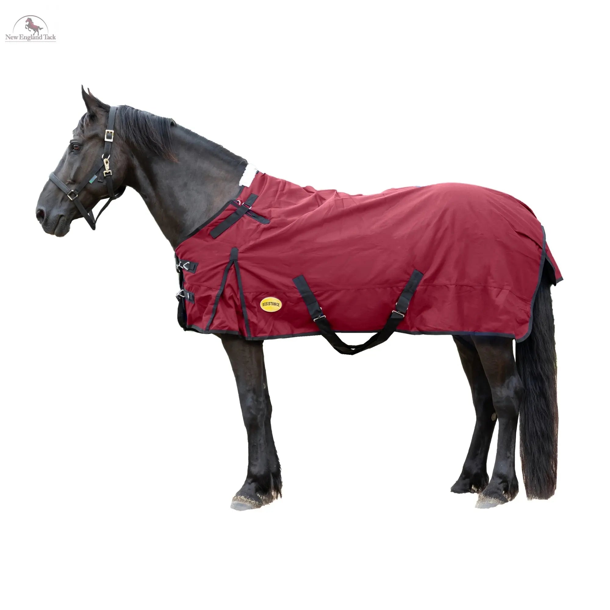 Resistance Premium 1680 Denier Waterproof Horse Turnout Blanket - 300 Grams Fill NewEngland Tack