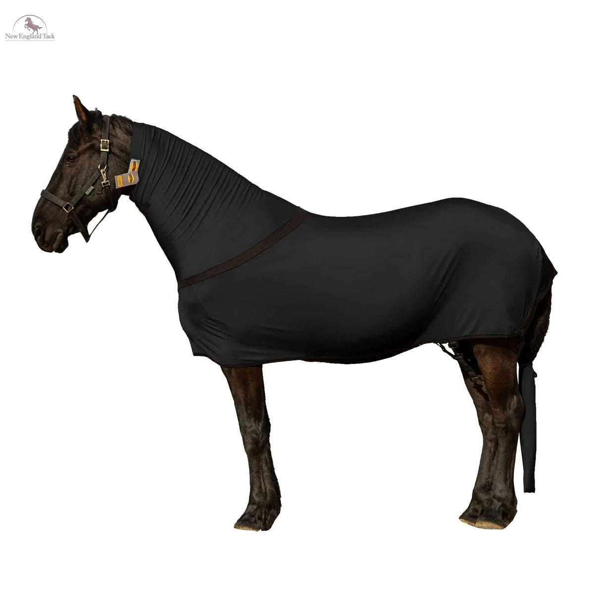 High-Quality Premium Horse Full Body Slinky for Improved Performance ...